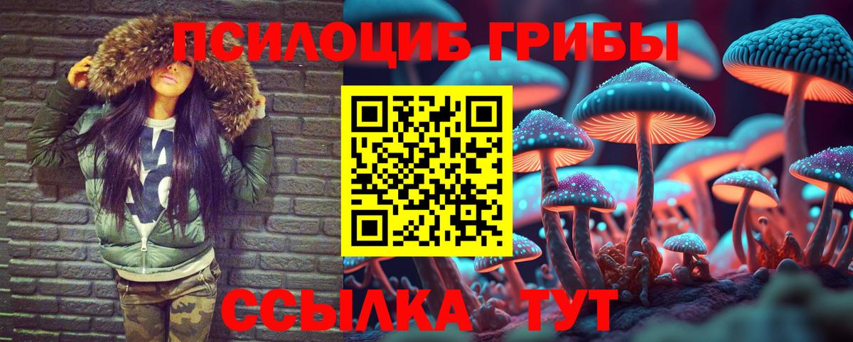 Кемерово  дарнет шоп  Вход с VPN  Галлюциногенные грибы GOLDEN TEACHER 